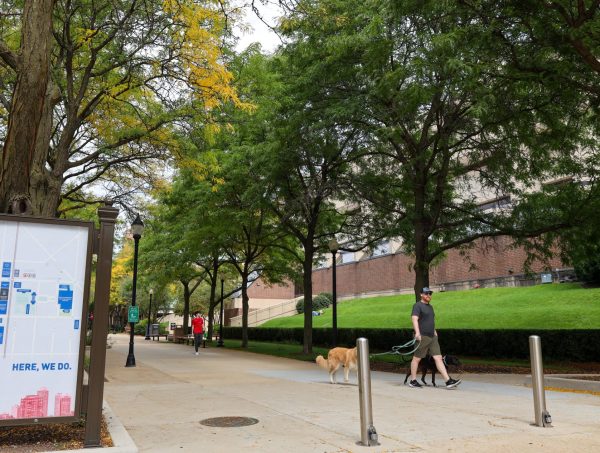 Students walk on DePauls Quad near the intersection of Belden and Sanctuary Ave. 