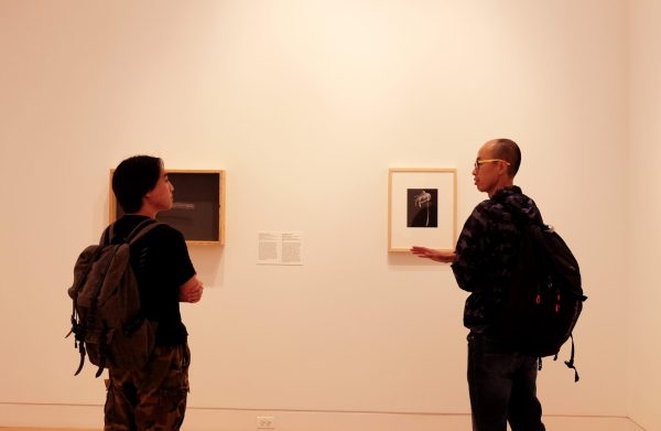 Kelsoe Matsunaga and Dongsheng Xu discuss student life and the Chicago Marathon Wednesday, Oct. 4, while visiting the Life Cycles exhibit at the DePaul Art Museum. Kelsoe is a student at DePaul. Dongsheng was in town for the Chicago Marathon. The museum is free for all visitors.