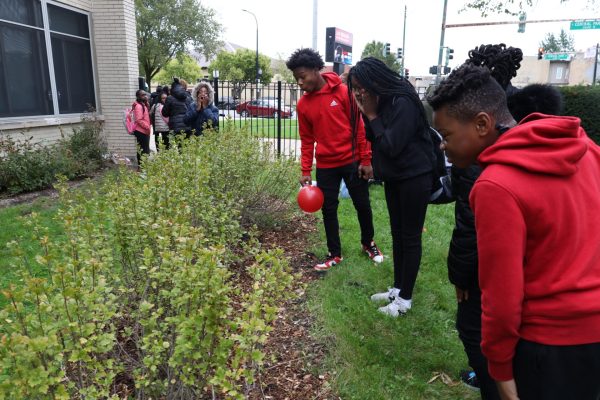 Ericson students amazed by the new rose bushes in the healing garden.