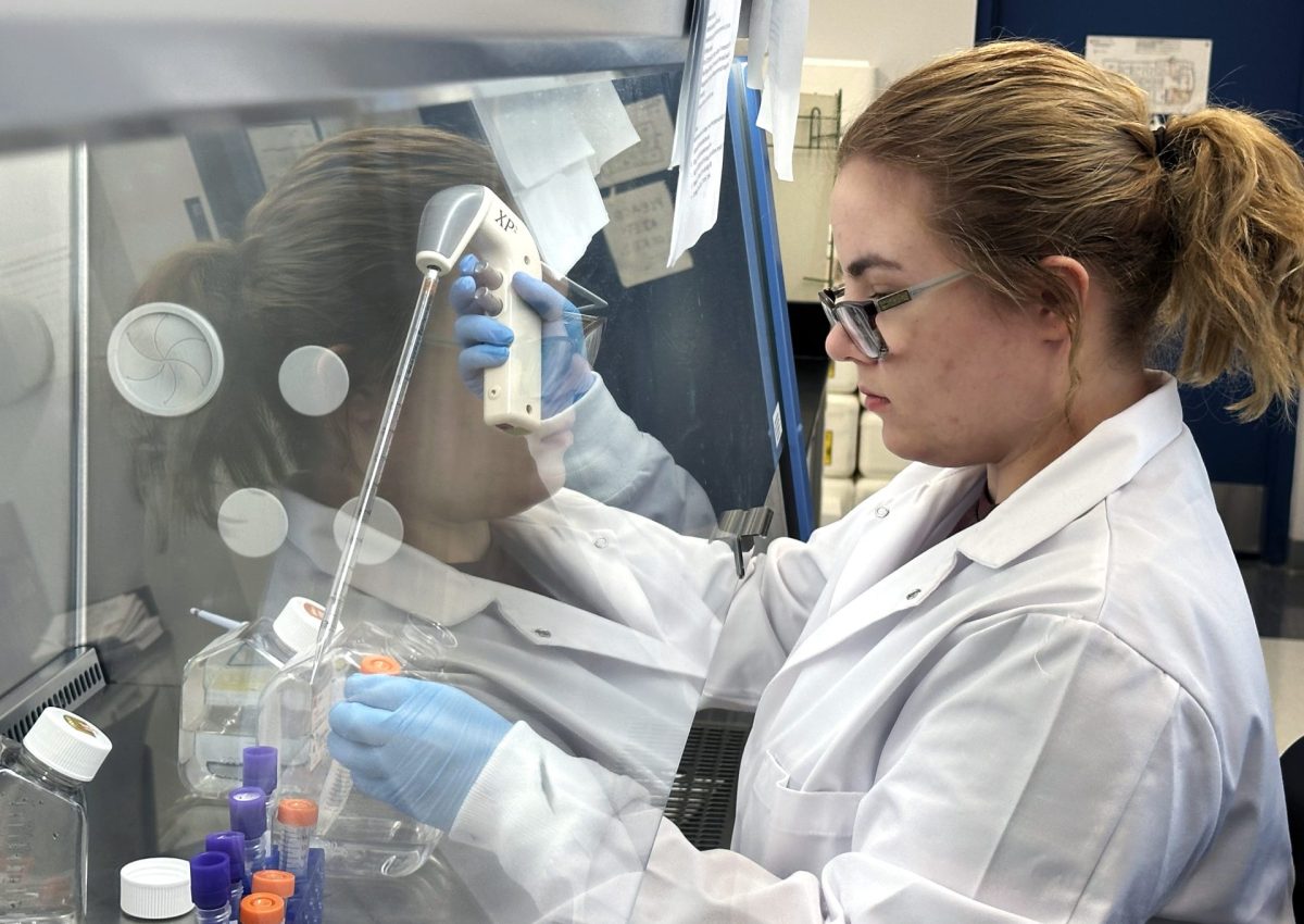 Research technician Carissa Dressel isolates cells in a laboratory experiment in DePaul’s McGowan North Building on Friday, April 19, 2024. Professor Margaret Bell supervises students who are researching the effects of forever chemicals like PCBs and PFAS in the brain.
