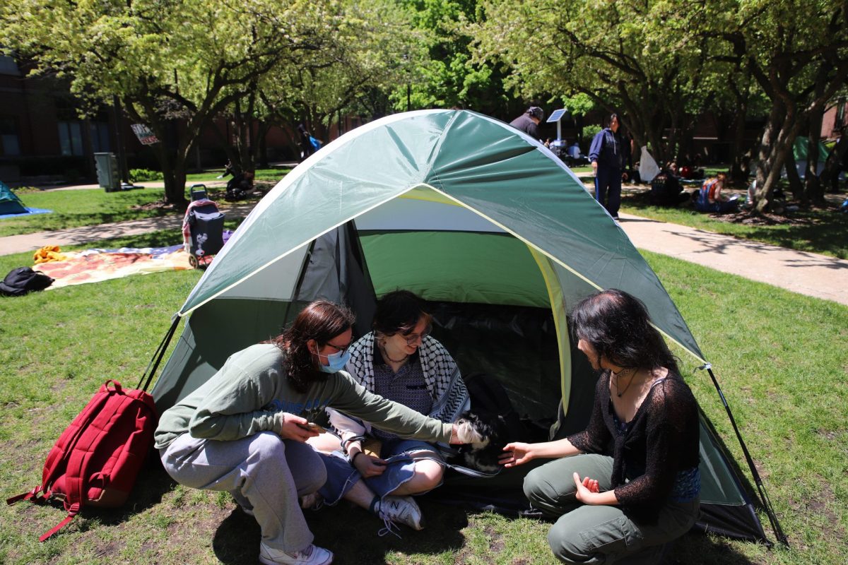  Members of DePaul’s Eco club gather in a tent on DePaul’s quad Tuesday afternoon. Tents like this one are scattered throughout the quad, forming a pro-Palestinian encampment. 
