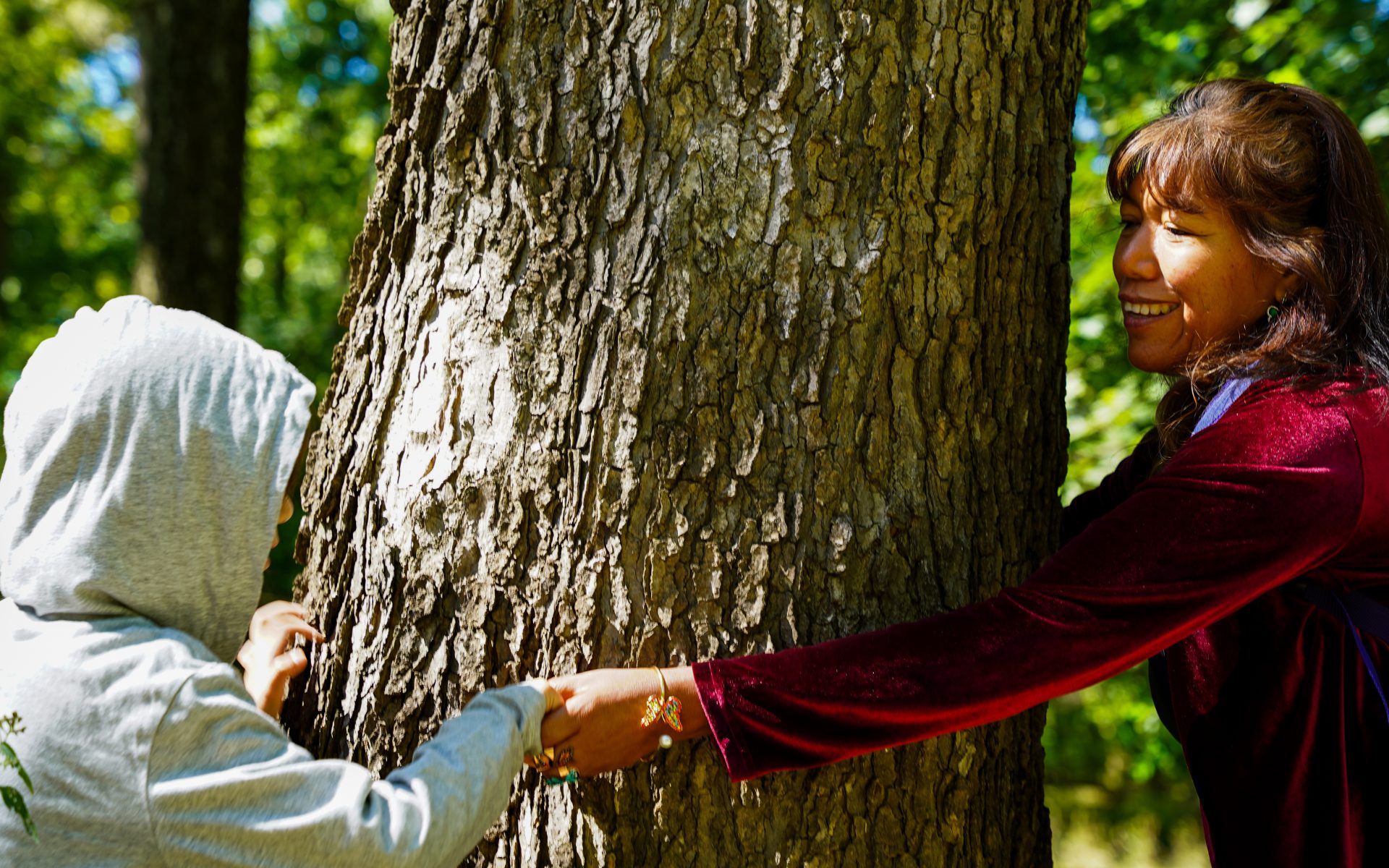 ‘There will always be butterflies’: Mexican mother fights to turn Chicago into a greener space.