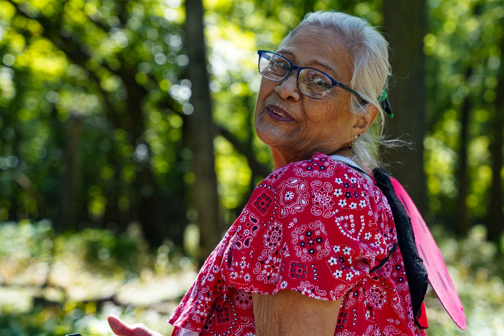 ‘There will always be butterflies’: Mexican mother fights to turn Chicago into a greener space.