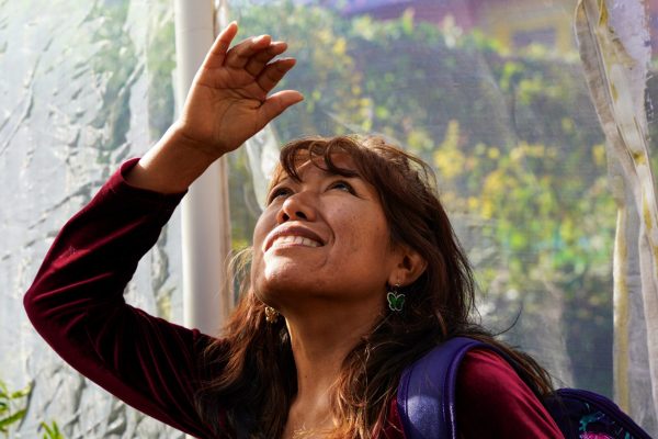 Claudia Galeno-Sánchez marvels at a Monarch butterfly that has just emerged from its chrysalis in her backyard sanctuary in Pilsen on September 9, 2024.