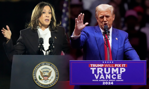 Left: Democratic presidential nominee Vice President Kamala Harris delivers remarks during a campaign event at the Ellipse near the White House in Washington, Tuesday, Oct. 29, 2024. (AP Photo/Stephanie Scarbrough)
Right: Republican presidential nominee former President Donald Trump speaks during a campaign rally at Lee's Family Forum, Thursday, Oct. 31, 2024, in Henderson, Nev. (AP Photo/Evan Vucci)
