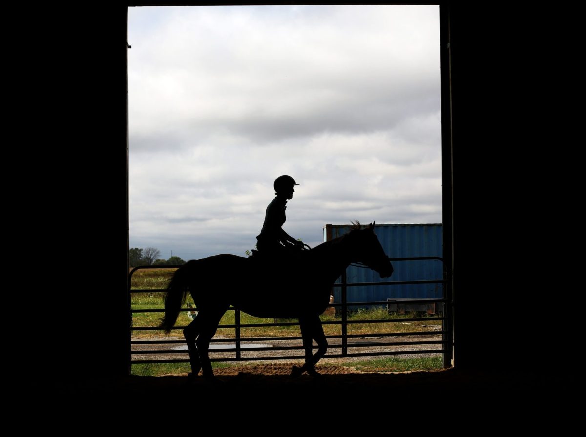 Riley Sommers rides her horse, Goldfinch, around an indoor arena on Sunday, Sept. 29, 2024, at Stargazer Ranch. Sommers is a DePaul graduate student from Texas and has been riding for 19 years.