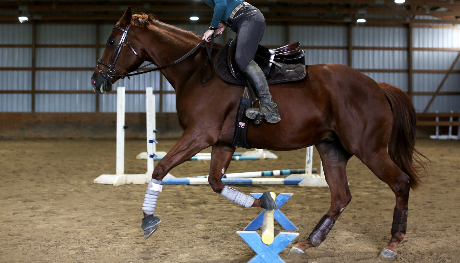 Riley Sommers: Second City cowgirl