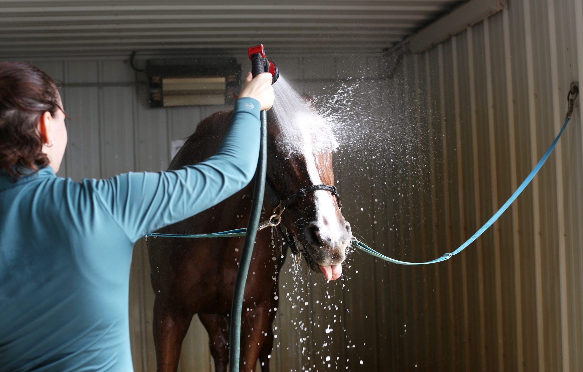 Riley Sommers: Second City cowgirl