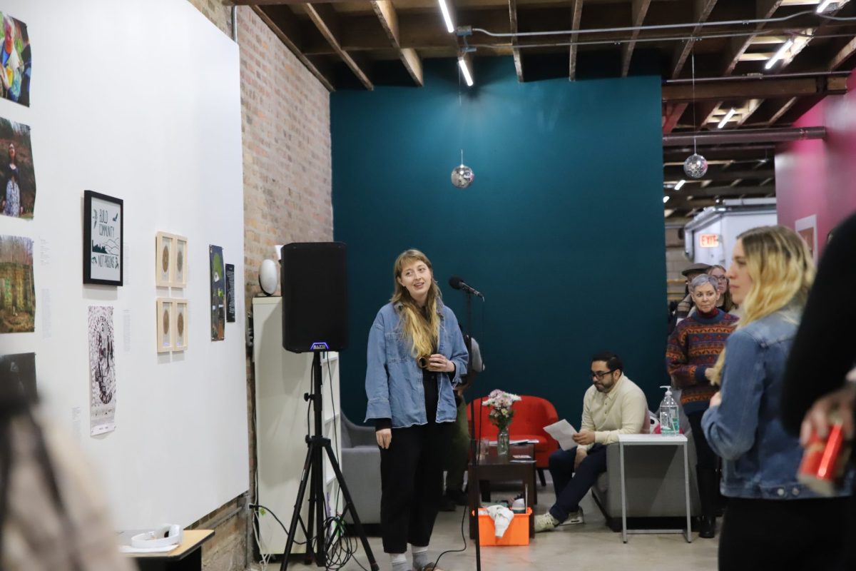 Gabrielle Christiansen, curator of the art exhibit "We Will Have Our Spring", delivers a speech detailing the process of curating the gallery at community art center Walls Turned Sideways on Feb. 15. The exhibit features mixed media art from incarcerated people advocating for better living conditions in Illinois state prisons.