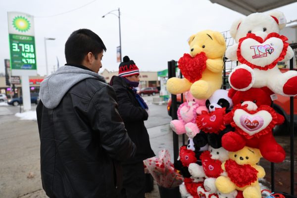 Cástulo García muestra su colección a un cliente el 15 de febrero en el barrio de Brighton Park. Dijo que lo que lo motiva a vender flores es que los consejos de sus padres resuenan en su mente.