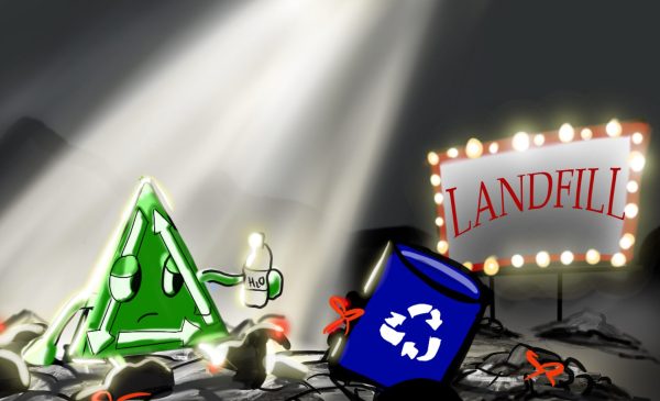 Trash Talk: Why your recycling habits might need refining