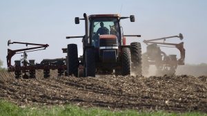 Soybeans are planted on Thursday, May 8, 2025 near Waverly, Minn.