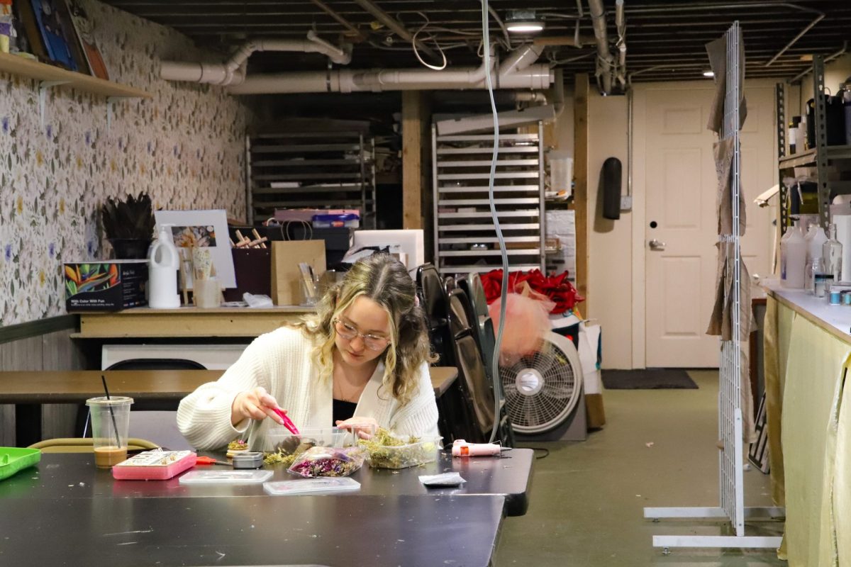 Grace Johnson works on butterfly wing arrangements in The Insect Asylum’s taxidermy studio in Chicago on Friday April 25, 2025. The museum restores vintage taxidermy and provides mortuary services for pets. 