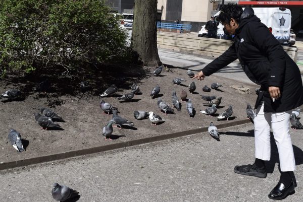 Shontelle Redden watches the pigeons at Daley Plaza on Thursday, May 8, 2025. She has been searching for a one legged pigeon who flies by her office window every day.