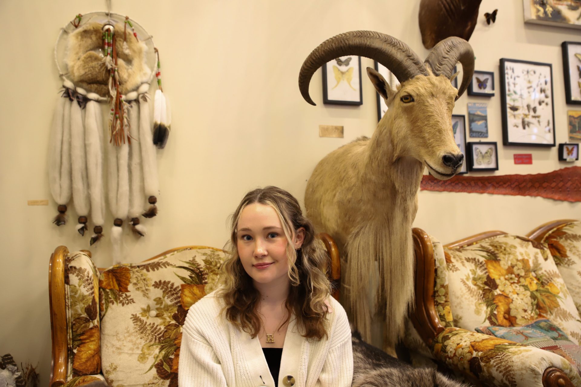 Finding solace amid a sea of beetles, a 60-year-old antelope — and maybe even snakes and spiders
