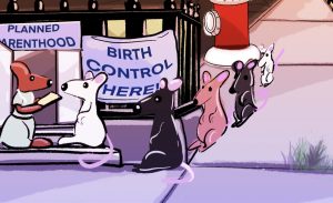 Chicago’s new weapon in the war on rats: Fertility control
